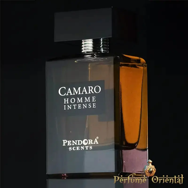 Perfume CAMARO HOMME INTENSE edp 100ml -Paris Corner