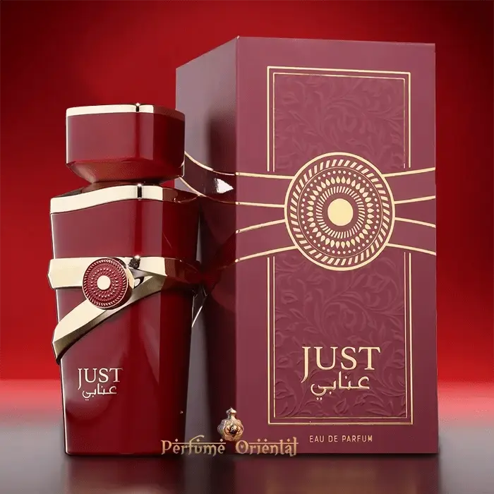 Perfume JUST ANABI-100ml-Fragrance World